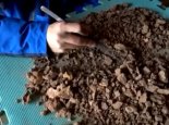 河南发现3万年前现代人头骨 平顶山10处洞穴有人类活动痕迹