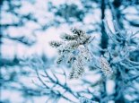 今日霜降全国初霜冻进程图出炉 北方地区谨防初霜灾害