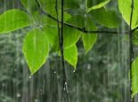 山西极端降水:约98个西湖倒进太原 为何会出现罕见极端降水