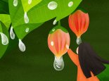 白露节气农作物种植什么