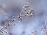 冷空气继续影响我国中东部 东北局部或现特大暴雪