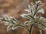 湖南今仍是阴雨雪 长沙元宵节阴转多云最高气温13℃