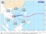 “天鹅”“艾莎尼”双台风掀风浪 南海部分海域风力9至10级