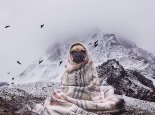 雪后狗狗双脚插进主人靴子取暖 网友：真的冻成狗了