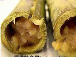 筒子肉