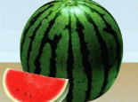 昌蜜红少籽瓜