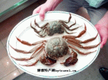 天津紫蟹