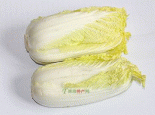 黄芽白菜