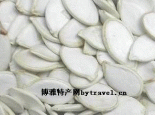 雪白瓜子
