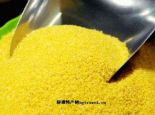 清河小米