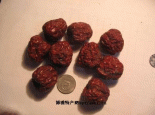 南宫大紫枣