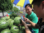 刘家窑西瓜