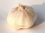 西八里大蒜