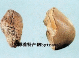 河北马宝