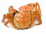 恒行河蟹