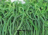 承德山菜