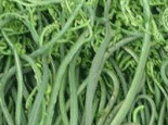 承德蕨菜