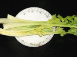 涧北芹菜