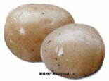 大凤丸