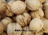 长寿果
