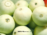 马首甜瓜