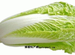 丁里白菜