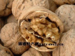绵核桃