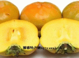 东峪磨盘柿