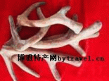 雄鹿