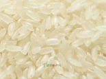 “老河”大米