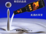 奶啤酒