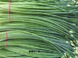 锡林浩特韭菜花