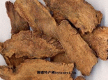 阿拉善锁阳