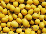 阿荣大豆
