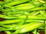 萱草