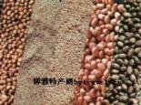 “绿到家”杂粮