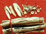 桓仁黄芪