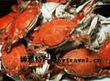 葫芦岛海蟹