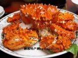 兴城梭子蟹