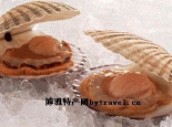 贝类