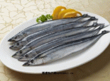 长海刀鱼