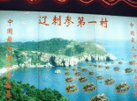 城子村刺参