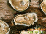 庄河牡蛎