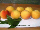大连黄桃