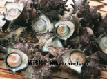 香螺