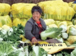 大民屯白菜