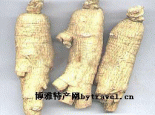 靖宇西洋参