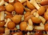 滑菇