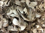 东宁松茸