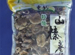 东北猴头蘑